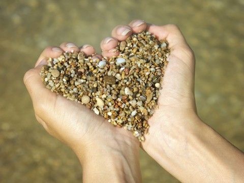 Có chuyện vô vị lợi không?